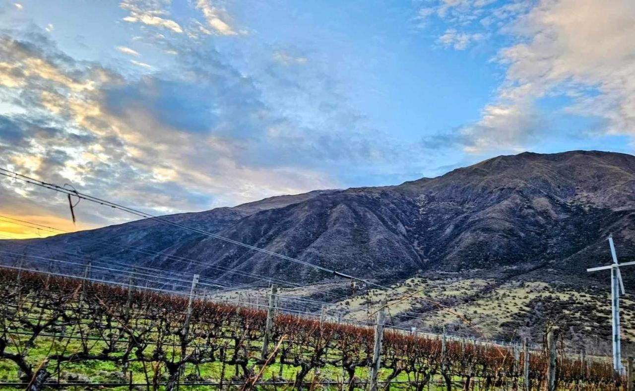 Ferienwohnung Gibbston - Wake Up In The Vines Exterior foto
